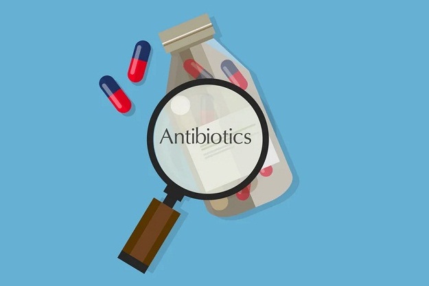 Antibiotics From The Right Clavulanic Acid Supplier In India Is A Must