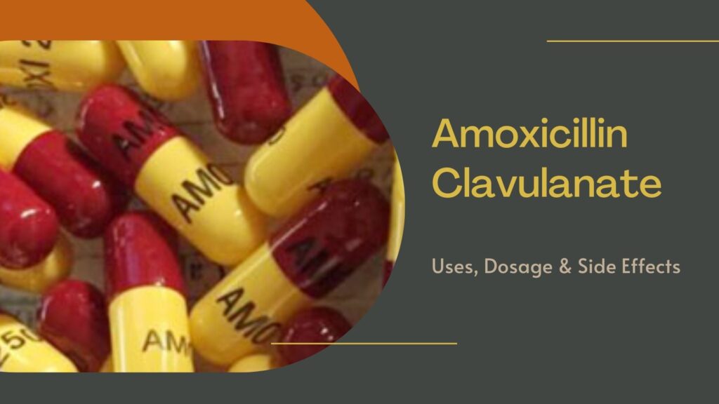 Amoxicillin Clavulanate- Uses, Dosage & Side Effects